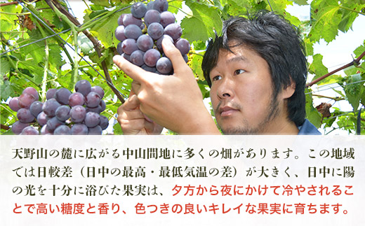 しっとり柿チップス 60g×5袋 国産 ドライフルーツ 無添加 小分け｜こだわりの逸品 地域特産品 ギフト 自分用 人気 おすすめ