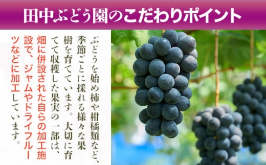 ほしぶどう(40g×5袋)としっとり柿チップス(60g×5袋)セット 国産 ドライフルーツ レーズン 無添加 複数品種 希少 レア 小分け｜こだわりの逸品 地域特産品 ギフト 自分用 人気 おすすめ