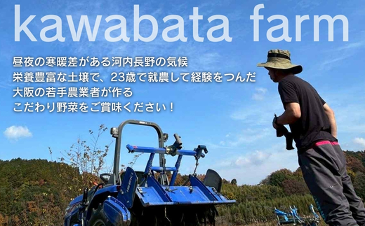 【令和8年度産玉ねぎ先行予約】玉ねぎ 2kg×2箱 ※6月より発送予定 混サイズ 玉ねぎ たまねぎ タマネギ 玉葱 カレー シチュー 肉じゃが スープ サラダ 人気 大阪 河内長野 kawabata farm 料理 送料無料 先行予約 国産 エコ農産物 甘い玉ねぎ 野菜 食育 安心 安全