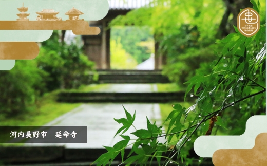 歴史と生姜が香る 薬膳精進カレー ５個 観心寺 金剛寺 延命寺 住職発案 人気レストラン 創作精進料理KU-RI 監修 肉 魚 五辛 不使用 健康 簡単調理 レトルトパック こだわりの逸品 地域特産品 ギフト 自分用 人気 おすすめ