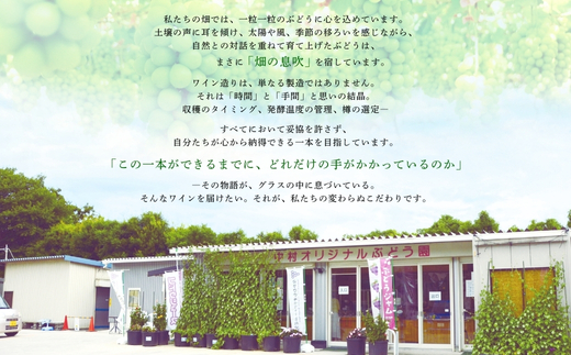 N21ワイン 720ml 中村オリジナルぶどう園のオリジナル品種使用 国産 やや甘口 赤ワイン お酒 酒 父の日 プレゼント ギフト 贈り物 お中元 お歳暮 夏ギフト お土産 手土産