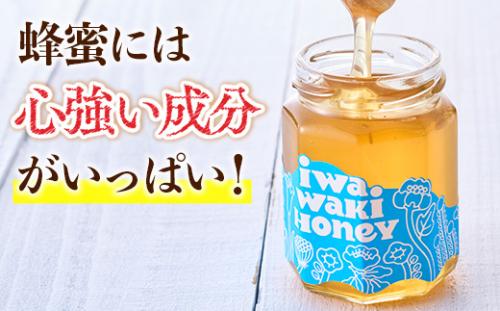 岩湧ハニー 純粋百花はちみつ 160g×2本セット 非加熱 国産天然はちみつ 大阪府 河内長野市 ギフト 百花蜜 ビタミン ミネラル 酵素 パンケーキ ヨーグルト アサイー 朝食 おやつ 手土産 コーヒー 紅茶 ドリンク 珈琲 プレゼント 岩湧山 トースト はちみつ 蜂蜜 ハチミツ