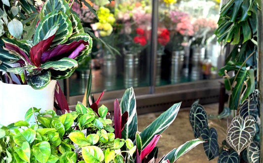 F3季節のおまかせフラワーアレンジメント