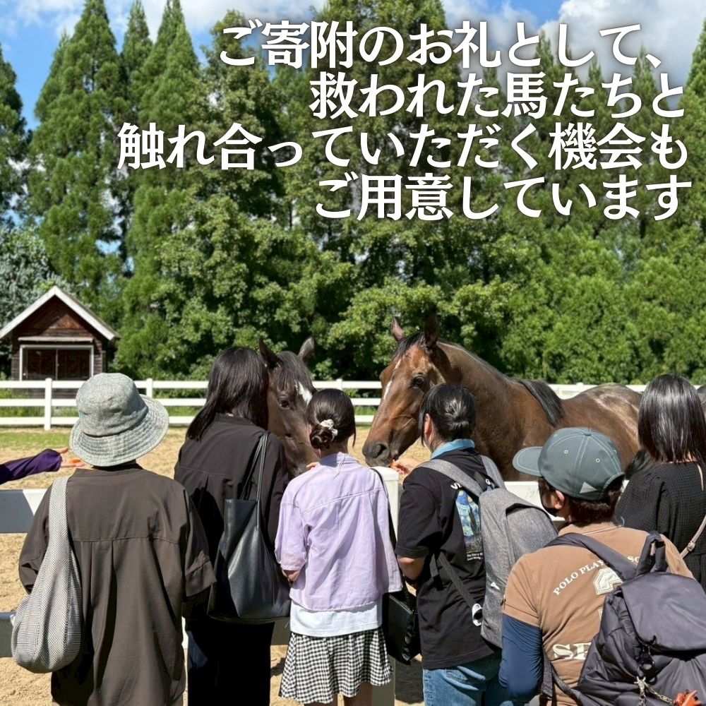 引退馬を救い馬に会える～「Retouch（リタッチ）」支援～ふるさと納税限定　ふれあい招待券
