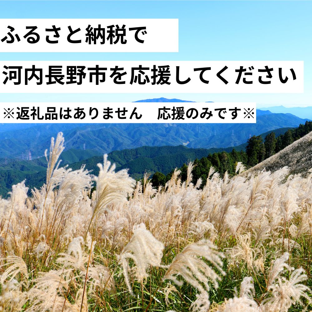 河内長野市を応援してください！　大阪府河内長野市　応援寄付金　１０００円　ふるさと納税（謝礼品なし）