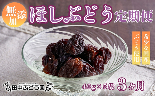 【定期便　毎月お届け3ヵ月】ほしぶどう 40g×5袋 国産 ドライフルーツ 無添加 複数品種 希少 レア 小分け 干し葡萄 干しぶどう 干しブドウ 無添加 保存食 備蓄食 常備食 食物繊維 鉄分 無添加 複数品種 希少 レア 小分け干し葡萄 ほしぶどう 無添加 防災食品 保存食 備蓄食 常備食 食物繊維 鉄分 ポリフェノール レーズン 製菓 製パン グラノーラ おやつ おつまみ 送料無料