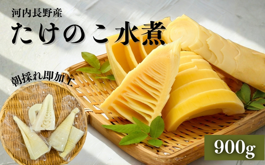 【2026年5月以降順次発送】国産 たけのこ 水煮 900g 朝採れを即加工 タケノコ 竹の子 筍 小分け 長期保存 真空パック たけのこご飯 煮物 こだわりの逸品 地域特産品 ギフト 自分用 人気 おすすめ