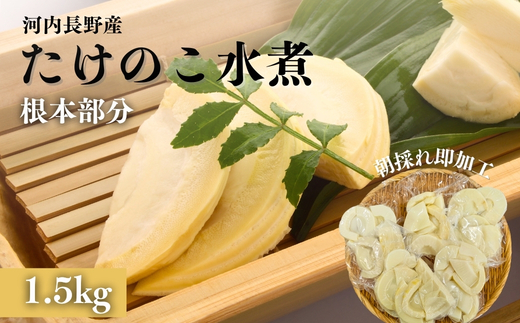 【2026年5月以降順次発送】国産 たけのこ 水煮 根本部分 1.5kg 朝採れを即加工 タケノコ 竹の子 筍 小分け 長期保存 真空パック たけのこご飯 煮物
