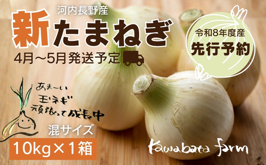 【令和8年度産新玉ねぎ先行予約】新玉ねぎ 10kg×1箱  ※4-5月発送予定 ｜ 混サイズ 玉ねぎ 新玉ねぎ たまねぎ タマネギ 玉葱 カレー シチュー 肉じゃが スープ サラダ 人気 大阪 河内長野 kawabata farm 料理 送料無料 先行予約 国産 エコ農産物 甘い玉ねぎ 野菜 食育 安心 安全