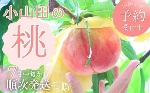 ＜2026年7月中旬頃から順次発送＞小山田の桃（9～12個）モモ 桃 もも ※発送前の注意事項を十分ご確認ください※｜こだわりの逸品 地域特産品 ギフト 自分用 人気 おすすめ
