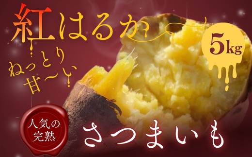 ＜2026年11月発送分　先行予約受付中！！＞ 紅はるか 5kg ｜ さつまいも 生芋 詰め合わせ 熟成 甘い 焼き芋 バター焼き サラダ 天ぷら スイーツ スイートポテト 大阪 河内長野 中村オリジナルぶどう園 訳あり 料理 国産 野菜 食育