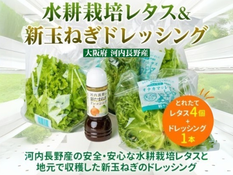 とれたてレタスと玉ねぎドレッシングセット　サラダ 副菜 常備野菜 炒め物 スープ チャーハン 鍋料理 巻物 冷製料理 朝食 昼食 夕食 付け合わせ サンドイッチ ハンバーガー お弁当 ダイエット｜こだわりの逸品 地域特産品 ギフト 自分用 人気 おすすめ