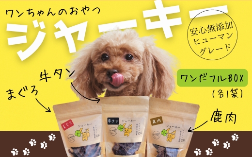 ワンちゃんのギフト  ワンだフルBOX ～ジャーキー三種セット～ こぐま商店 河内長野 ペットフード ドッグフード ジャーキー 小型犬 中型犬 大型犬 犬用 いぬ ペット