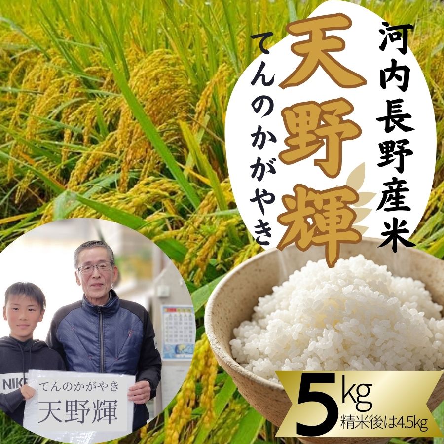 令和7年献上米 新米 ヒノヒカリ 天野輝5kg （精米後約4.5kg）てんのかがやき 大阪府 河内長野市産 白米 甘み 粘り ブランド米【2025年11月以降発送】米 こめ コメ 子ども 食育 減農薬 安心 安全 新米 河内長野市米 eco米 食味 白米 ごはん 銘柄米 ブランド 単一米 米 こめ コメ 白米 ごはん 新米 ひのひかり