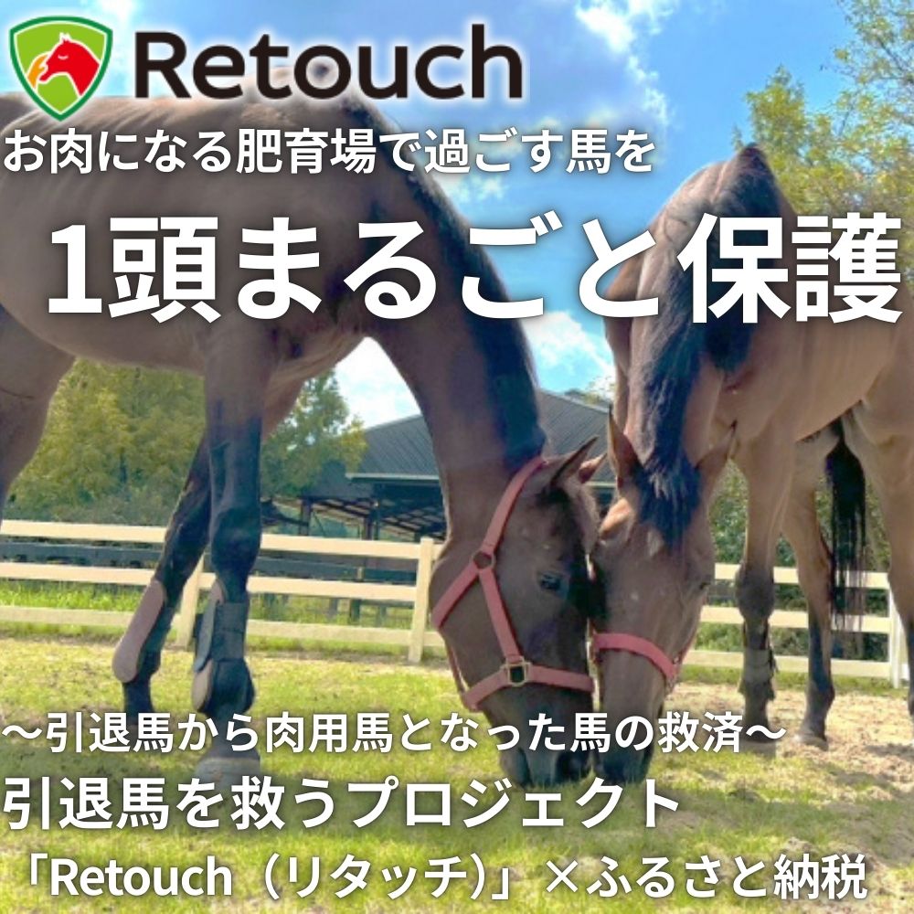 引退馬を救い馬に会える～「Retouch（リタッチ）」支援～ふるさと納税限定　１頭まるごと保護