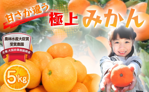 先行予約 2026年11月下旬より発送 【 農林水産大臣賞受賞 】 甘さが違う極上みかん 5kg 高糖度 甘い みかん 柑橘 フルーツ 家庭用 贈答用対応 ギフト 大阪府 河内長野市 角農園