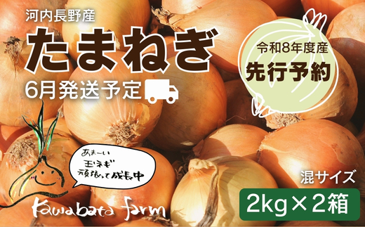 [令和8年度産玉ねぎ先行予約]玉ねぎ 2kg×2箱 ※6月より発送予定 混サイズ 玉ねぎ たまねぎ タマネギ 玉葱 カレー シチュー 肉じゃが スープ サラダ 人気 大阪 河内長野 kawabata farm 料理 送料無料 先行予約 国産 エコ農産物 甘い玉ねぎ 野菜 食育 安心 安全