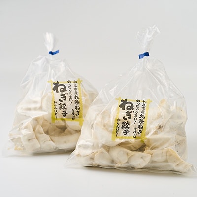 大阪府和泉市産の九条ネギを使用した冷凍餃子　48個入×2パック(計96個)　道の駅で大好評!【配送不可地域：離島】