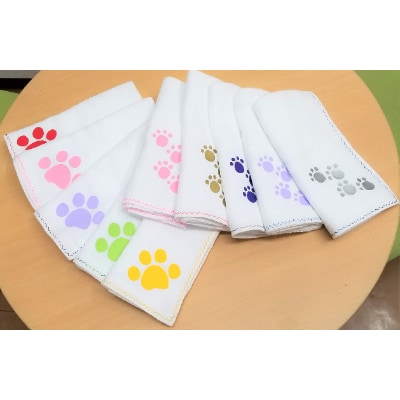 ともニャンタオルセットB (平地つきプリントタオル10枚組)