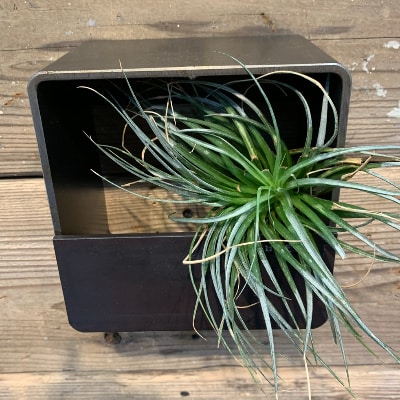 COBA(74)アイアン花器(鉄仮面200角)