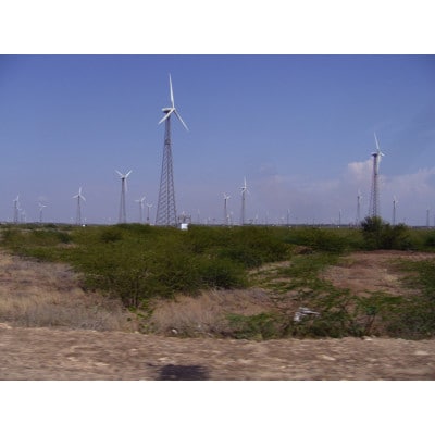 オーガニックタオルケット(色　ナチュラル)