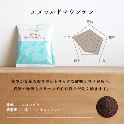 辻本珈琲で人気のおすすめ　スペシャルドリップコーヒー　エメラルドマウンテン50杯 自家焙煎