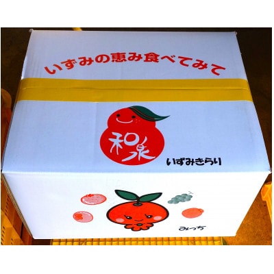 隠れ名産地　蔵出し熟成和泉みかん(中玉・大玉サイズミックス)10kg