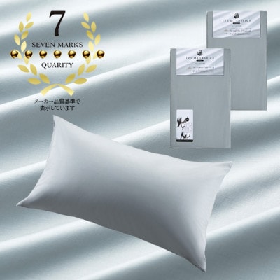 (50×90cm)ポーランド産マザーグースダウンピロー(羽毛枕)95%＆ピローケース:フォグブルー