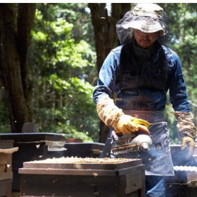 【1種】 いずみつ(百花密) 500g 　倒立型 蜜切れ抜群ボトル　