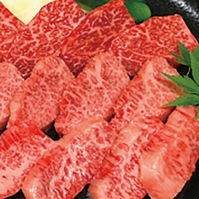 【6000円分】焼肉ダイニング弘　ランチ・ディナーで使えるお食事券チケット　〈大阪府和泉市〉