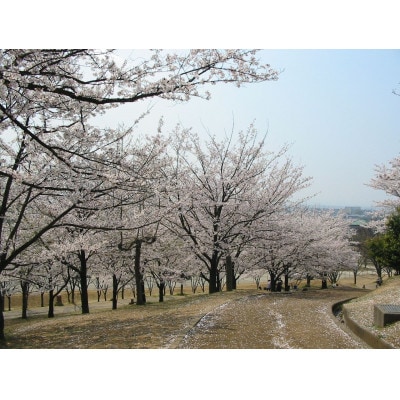 【返礼品なし】大阪府和泉市