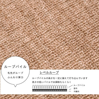 防ダニ カーペット 6畳 日本製 抗菌防臭 ノースポール 江戸間 261×352cm ベージュ