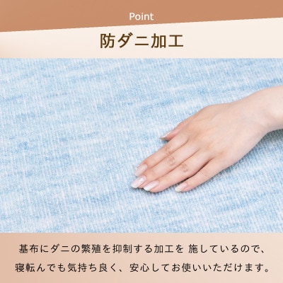 防ダニ カーペット 6畳 日本製 抗菌防臭 ノースポール 江戸間 261×352cm ブルー