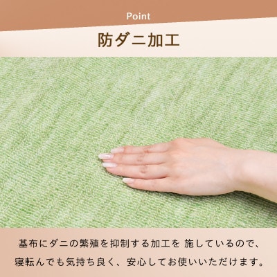 防ダニ カーペット 6畳 日本製 抗菌防臭 ノースポール 江戸間 261×352cm グリーン