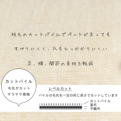 カーペット 日本製 抗菌防臭 犬 猫 ペット ビオラ 176×261cm 江戸間 3畳 アイボリー