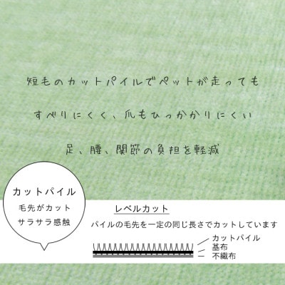 カーペット 日本製 抗菌防臭 犬 猫 ペット ビオラ 261×352cm 江戸間 6畳 グリーン
