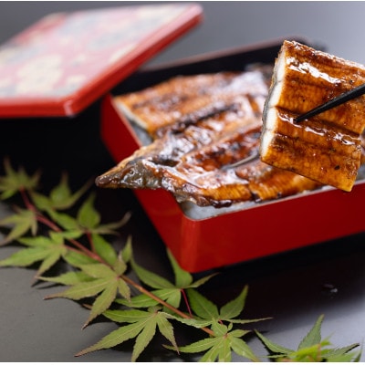 絶品!!国産うなぎ蒲焼き　特大サイズ(2尾×約200g)【配送不可地域：離島】
