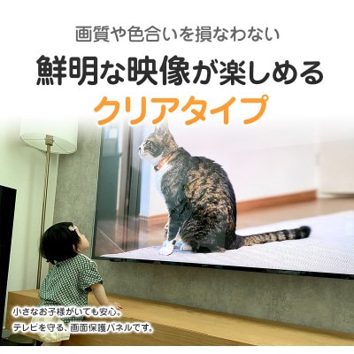 大阪府和泉市　有機ELテレビ48インチ用　テレビ画面保護パネル　クリアタイプ　テレビガード