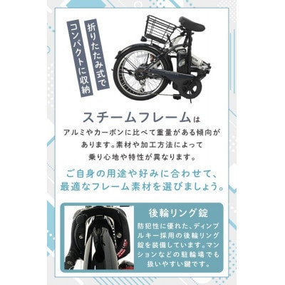 PELTECH 20インチ 折り畳み電動アシスト自転車 外装6段変速【簡易組立必要品】マットブラック【配送不可地域：沖縄県】