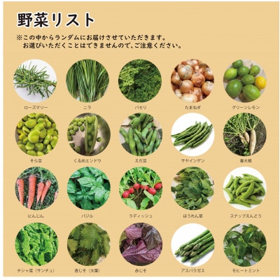 【こだわり春の野菜詰め合わせセット】Mサイズ　栽培期間中農薬・化学肥料・除草剤不使用の旬野菜【配送不可地域：離島】