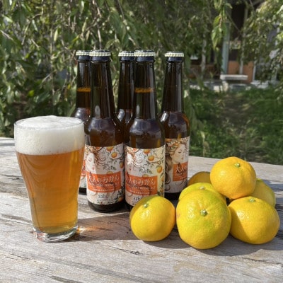 大阪府和泉市産みかんを使用したクラフトビール 330ml 6本セット【配送不可地域：離島】