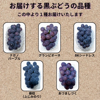 【先行受付】シャインマスカット1房+黒ぶどう1房　合計1Kg以上【配送不可地域：離島】