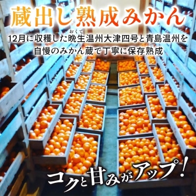 蔵出し熟成和泉みかん　扁平大玉LL-3L 5kg