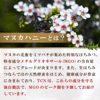 ストロング マヌカハニー 500g MGO 860+