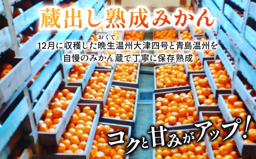 隠れ名産地　蔵出し熟成和泉みかん(中玉・大玉サイズミックス)5kg