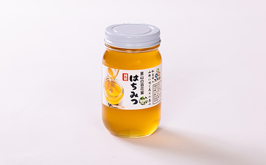 道の駅で大人気のハチミツ(300g瓶詰×2本)