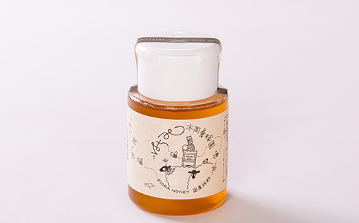 道の駅で大人気のハチミツ(使い勝手の良いプラ容器300g×3本)