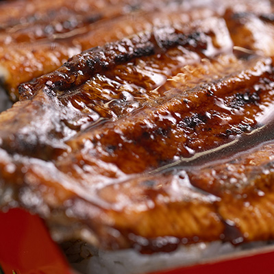 絶品!!国産うなぎ蒲焼き　特大サイズ(2尾×約200g)【配送不可地域：離島】