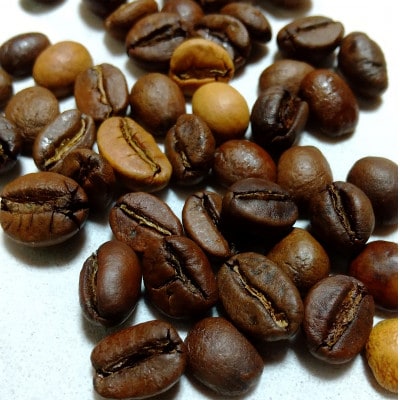 【毎月定期便】直火自家焙煎コーヒー100g (豆)　新鮮なコーヒーが毎月届きます。全6回