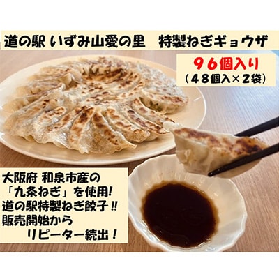 大阪府和泉市産の九条ネギを使用した冷凍餃子　48個入×2パック(計96個)　道の駅で大好評!【配送不可地域：離島】